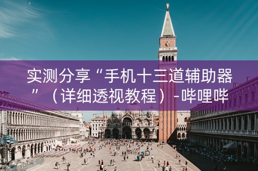 实测分享“手机十三道辅助器”（详细透视教程）-哔哩哔哩