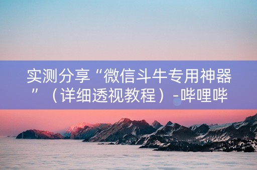 实测分享“微信斗牛专用神器”（详细透视教程）-哔哩哔哩