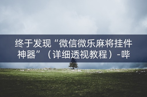 终于发现“微信微乐麻将挂件神器”（详细透视教程）-哔哩哔哩