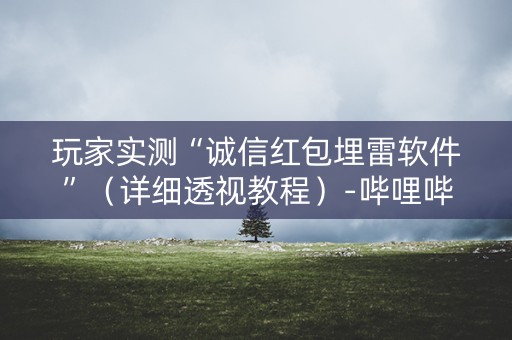 玩家实测“诚信红包埋雷软件”（详细透视教程）-哔哩哔哩