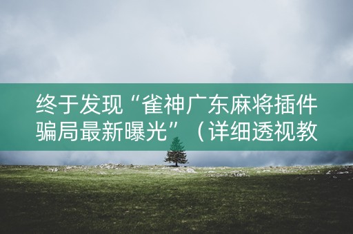 终于发现“雀神广东麻将插件骗局最新曝光”（详细透视教程）-哔哩哔哩