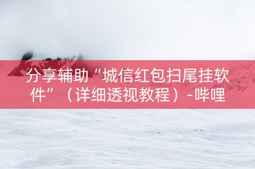 分享辅助“城信红包扫尾挂软件”（详细透视教程）-哔哩哔哩