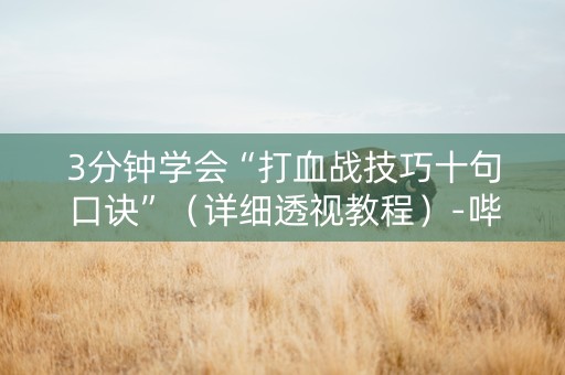 3分钟学会“打血战技巧十句口诀”（详细透视教程）-哔哩哔哩