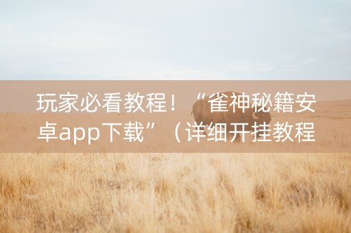 玩家必看教程！“雀神秘籍安卓app下载”（详细开挂教程）-哔哩哔哩