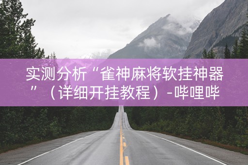 实测分析“雀神麻将软挂神器”（详细开挂教程）-哔哩哔哩