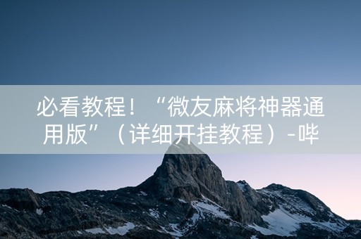必看教程！“微友麻将神器通用版”（详细开挂教程）-哔哩哔哩
