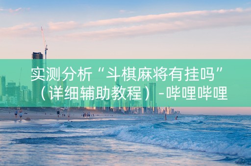 实测分析“斗棋麻将有挂吗”（详细辅助教程）-哔哩哔哩