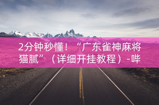 2分钟秒懂！“广东雀神麻将猫腻”（详细开挂教程）-哔哩哔哩