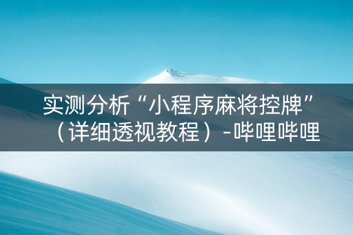 实测分析“小程序麻将控牌”（详细透视教程）-哔哩哔哩