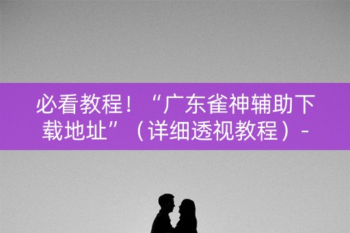 必看教程！“广东雀神辅助下载地址”（详细透视教程）-哔哩哔哩