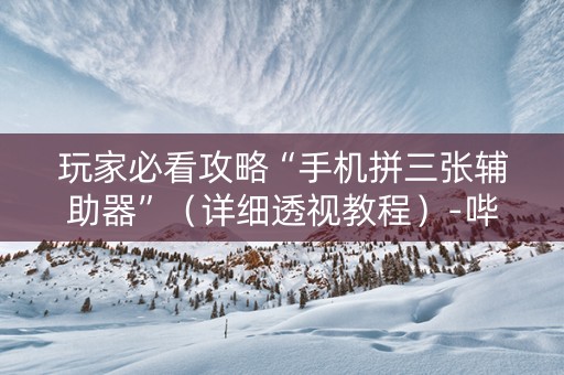 玩家必看攻略“手机拼三张辅助器”（详细透视教程）-哔哩哔哩