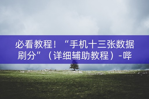 必看教程！“手机十三张数据刷分”（详细辅助教程）-哔哩哔哩