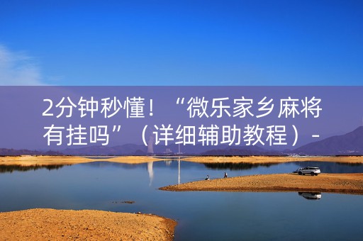 2分钟秒懂！“微乐家乡麻将有挂吗”（详细辅助教程）-哔哩哔哩