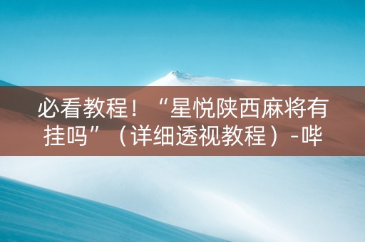 必看教程！“星悦陕西麻将有挂吗”（详细透视教程）-哔哩哔哩