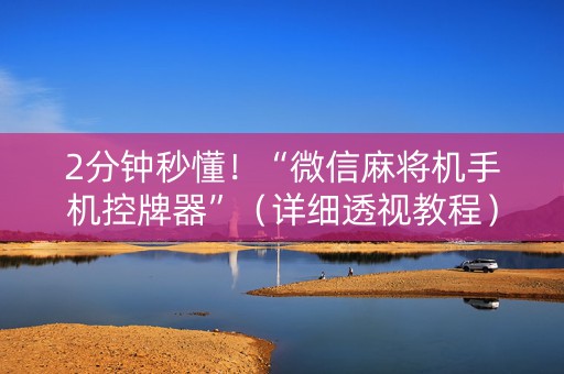 2分钟秒懂！“微信麻将机手机控牌器”（详细透视教程）-哔哩哔哩