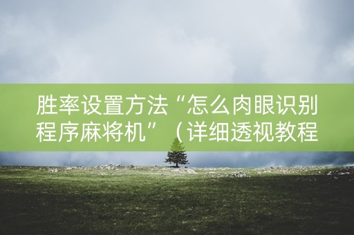 胜率设置方法“怎么肉眼识别程序麻将机”（详细透视教程）-哔哩哔哩