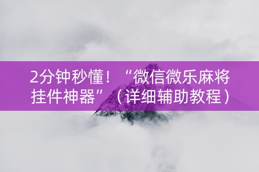 2分钟秒懂！“微信微乐麻将挂件神器”（详细辅助教程）-哔哩哔哩