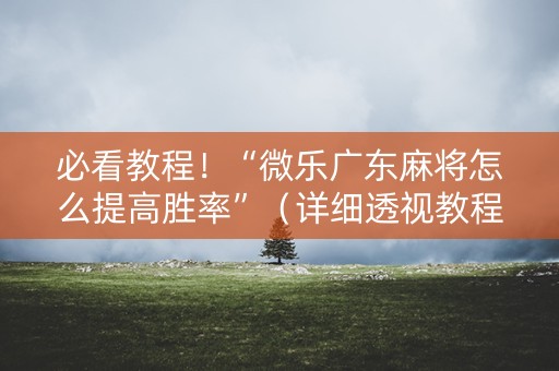 必看教程！“微乐广东麻将怎么提高胜率”（详细透视教程）-哔哩哔哩