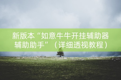 新版本“如意牛牛开挂辅助器辅助助手”（详细透视教程）-哔哩哔哩