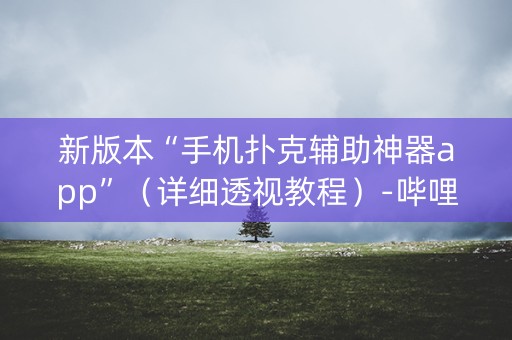 新版本“手机扑克辅助神器app”（详细透视教程）-哔哩哔哩