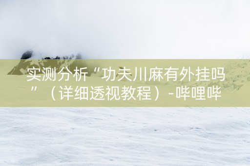 实测分析“功夫川麻有外挂吗”（详细透视教程）-哔哩哔哩