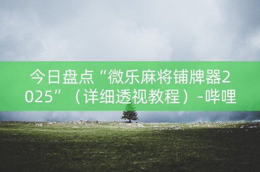 今日盘点“微乐麻将铺牌器2025”（详细透视教程）-哔哩哔哩