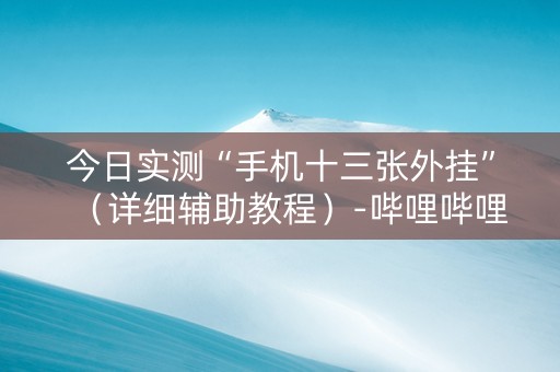 今日实测“手机十三张外挂”（详细辅助教程）-哔哩哔哩