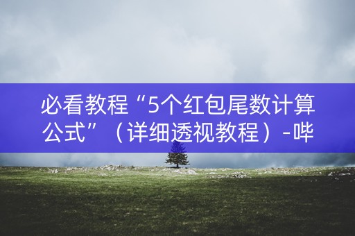 必看教程“5个红包尾数计算公式”（详细透视教程）-哔哩哔哩