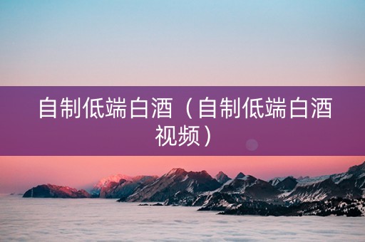 自制低端白酒（自制低端白酒视频）