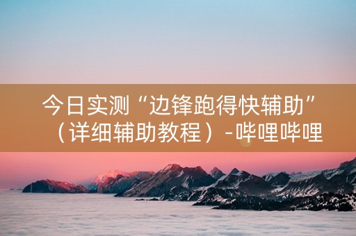 今日实测“边锋跑得快辅助”（详细辅助教程）-哔哩哔哩