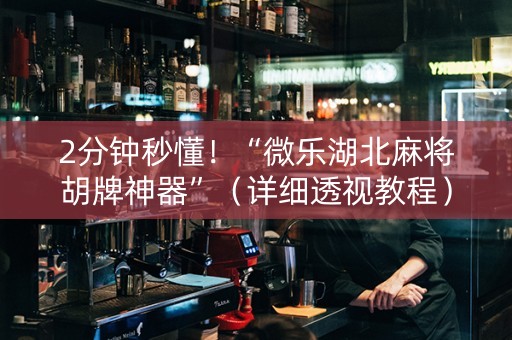 2分钟秒懂！“微乐湖北麻将胡牌神器”（详细透视教程）-哔哩哔哩