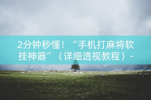 2分钟秒懂！“手机打麻将软挂神器”（详细透视教程）-哔哩哔哩