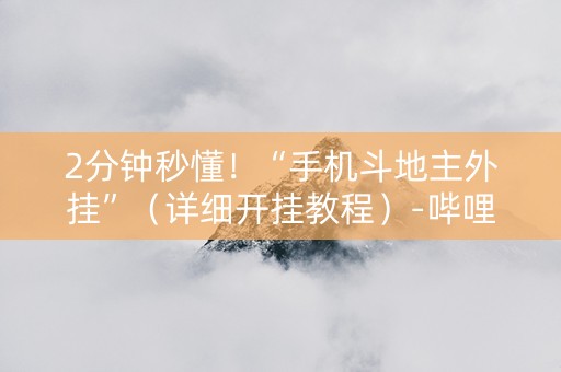 2分钟秒懂！“手机斗地主外挂”（详细开挂教程）-哔哩哔哩
