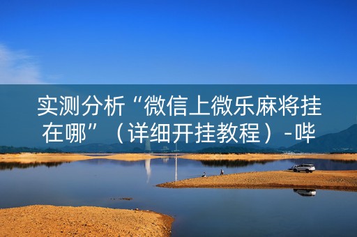 实测分析“微信上微乐麻将挂在哪”（详细开挂教程）-哔哩哔哩