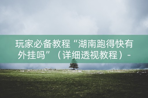 玩家必备教程“湖南跑得快有外挂吗”（详细透视教程）-哔哩哔哩