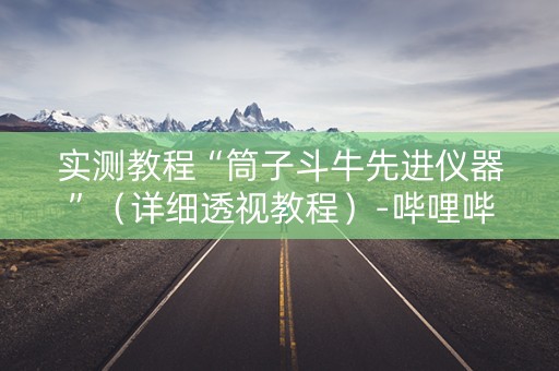 实测教程“筒子斗牛先进仪器”（详细透视教程）-哔哩哔哩