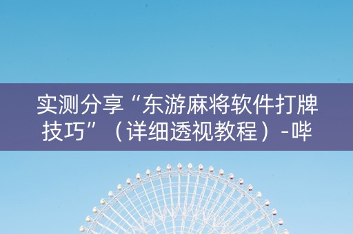 实测分享“东游麻将软件打牌技巧”（详细透视教程）-哔哩哔哩