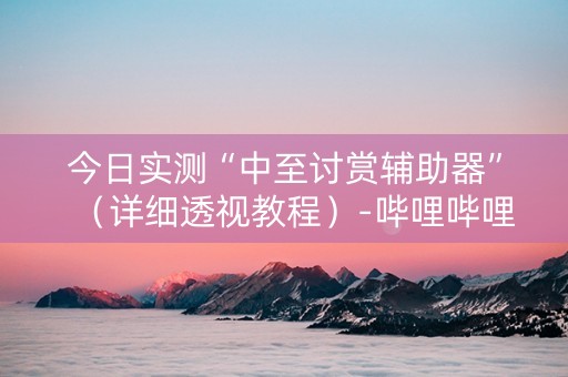 今日实测“中至讨赏辅助器”（详细透视教程）-哔哩哔哩