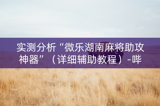 实测分析“微乐湖南麻将助攻神器”（详细辅助教程）-哔哩哔哩
