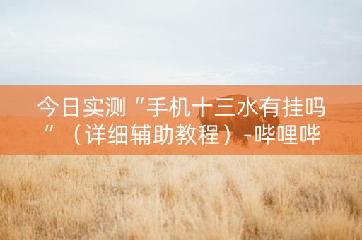 今日实测“手机十三水有挂吗”（详细辅助教程）-哔哩哔哩
