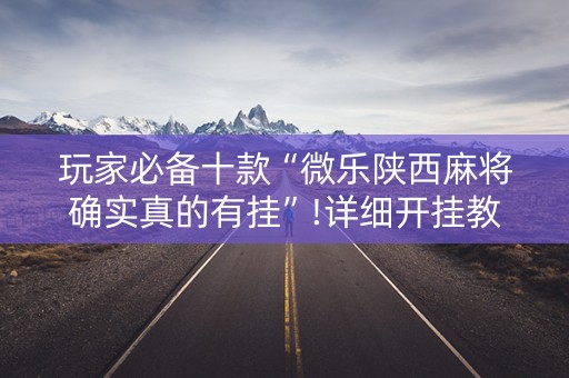 玩家必备十款“微乐陕西麻将确实真的有挂”!详细开挂教程-知乎