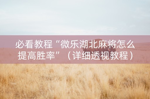 必看教程“微乐湖北麻将怎么提高胜率”（详细透视教程）-哔哩哔哩