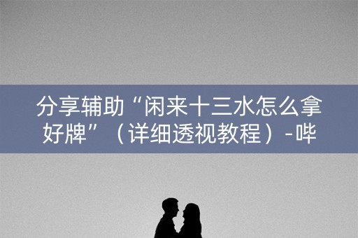 分享辅助“闲来十三水怎么拿好牌”（详细透视教程）-哔哩哔哩