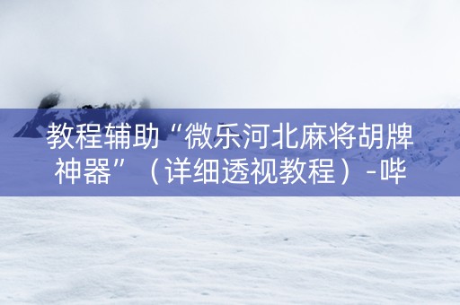 教程辅助“微乐河北麻将胡牌神器”（详细透视教程）-哔哩哔哩