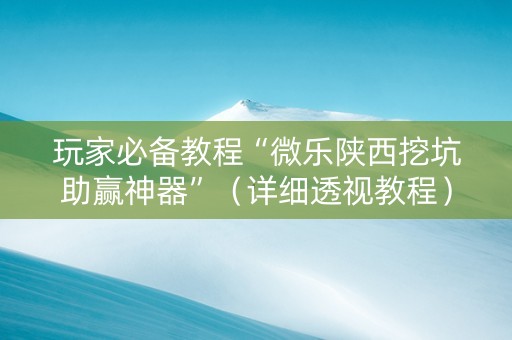 玩家必备教程“微乐陕西挖坑助赢神器”（详细透视教程）-哔哩哔哩