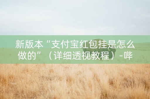 新版本“支付宝红包挂是怎么做的”（详细透视教程）-哔哩哔哩