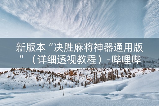 新版本“决胜麻将神器通用版”（详细透视教程）-哔哩哔哩