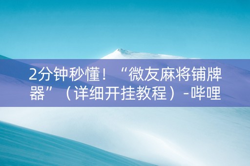 2分钟秒懂！“微友麻将铺牌器”（详细开挂教程）-哔哩哔哩