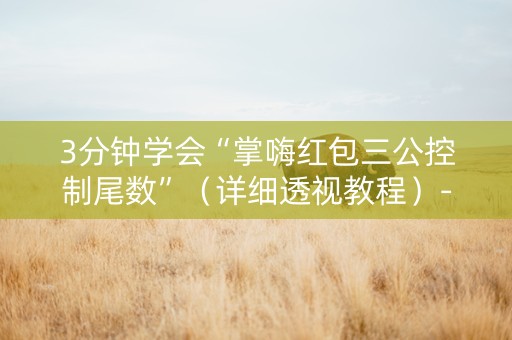3分钟学会“掌嗨红包三公控制尾数”（详细透视教程）-哔哩哔哩