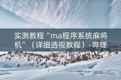 实测教程“ma程序系统麻将机”（详细透视教程）-哔哩哔哩